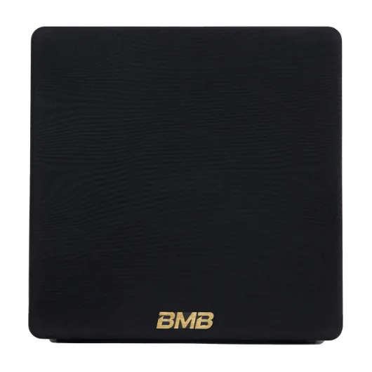 BMB CSW-112A 12" Active Subwoofer